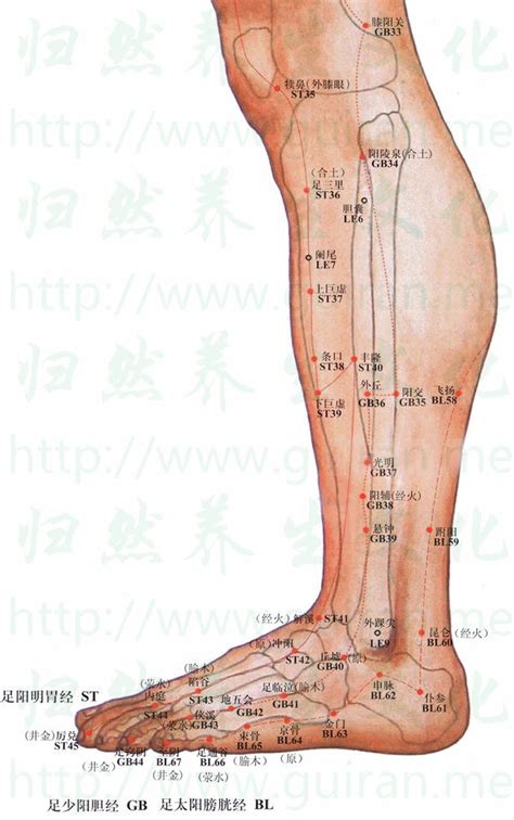 金門穴功效